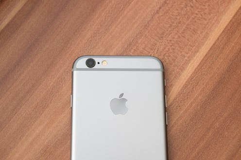 Celje, Slovenia - January 22, 2016: Studio shot of an iPhone 6s Space Gray rear view