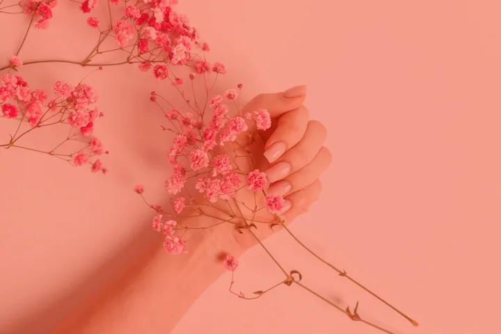 Pink manicure and flowers on white background, top view.