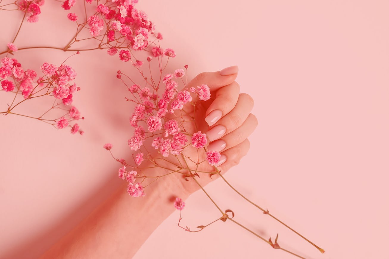 Pink manicure and flowers on white background, top view.