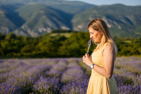Beautiful mid-adult woman holding lavender and smelling it in the lavender field. Enjoying the natur...