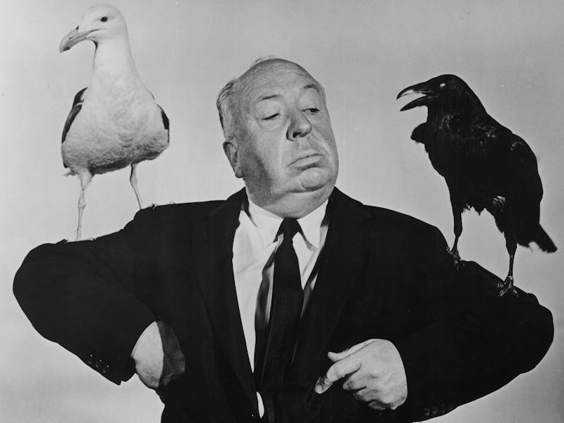 circa 1963: British film director Alfred Hitchcock (1899-1980) poses with a seagull and a raven per...