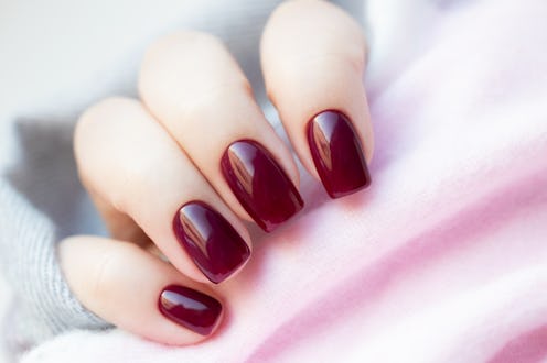 Female hand with beautiful manicure - burgundy wine color gel nails, closeup fingers. Nail care conc...