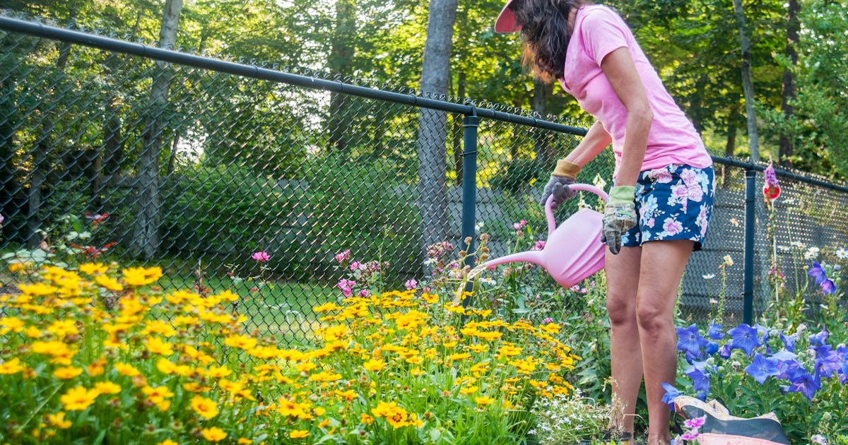 OK, Chaos Gardening Might Be The Answer To All Your Yard Desires