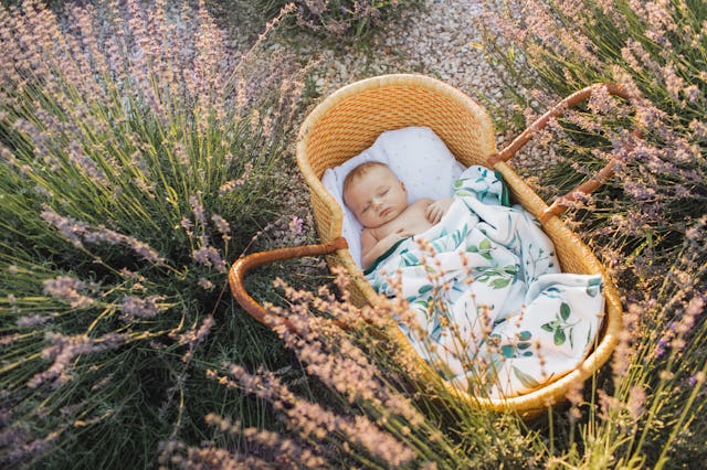 Newborn beautiful baby boy lying in vintage baby wicker cot outside in blooming garden. Little infan...