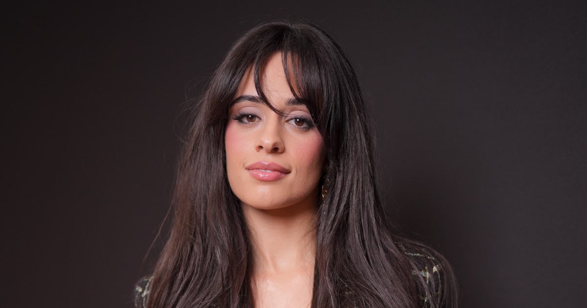 Camila Cabello Bared Her Bra Y2K-Style On Instagram Like It Was The '00s