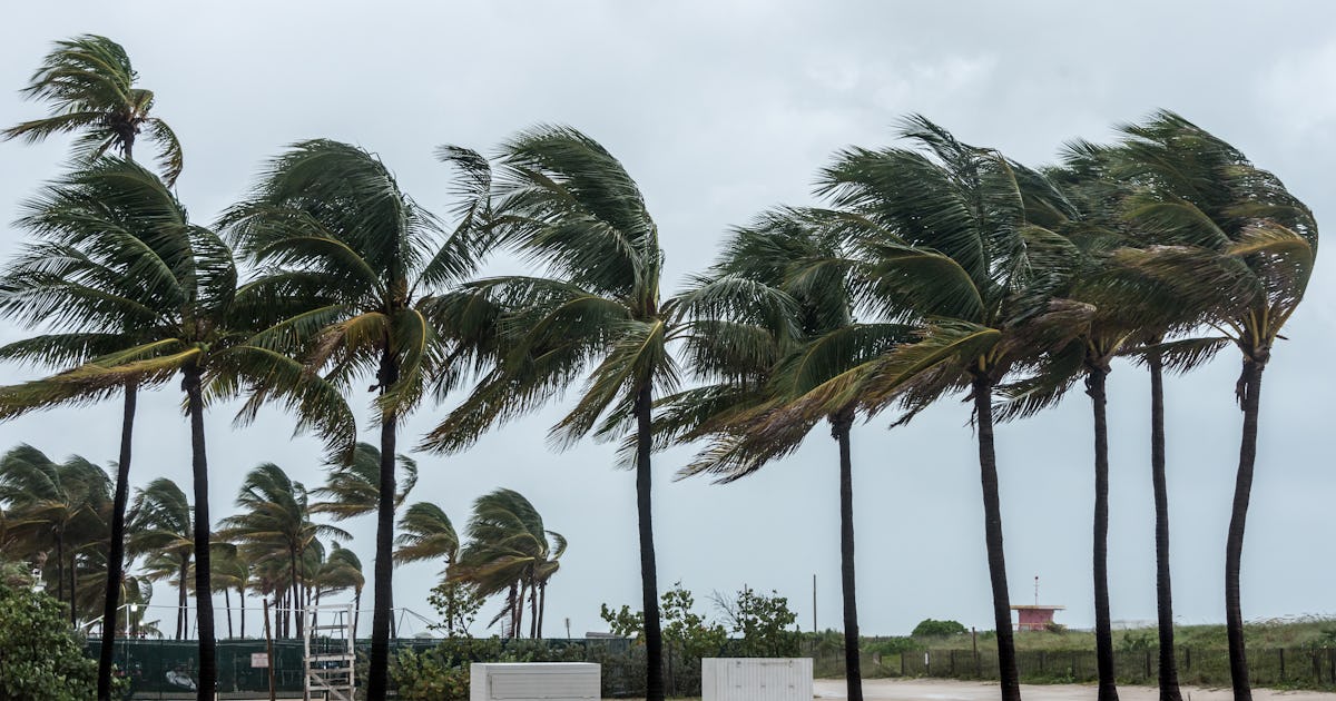 Batten Down The Hatches: 2025 Hurricane Names Have Been Announced