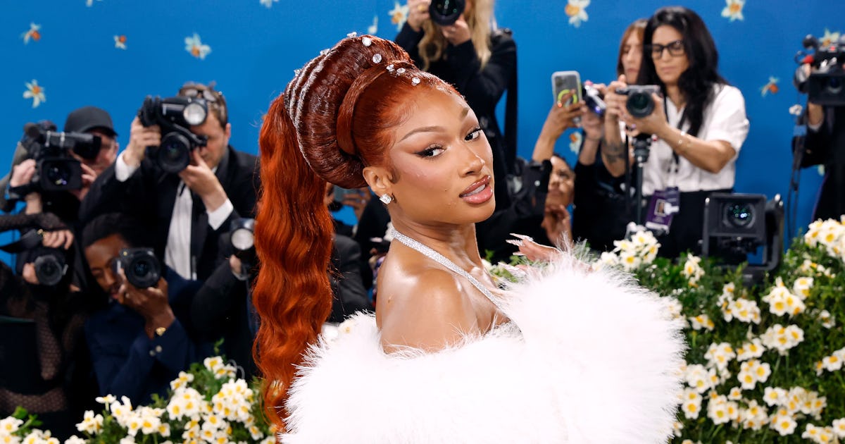 Megan Thee Stallion's See-Through Dress Exposed Her Undies