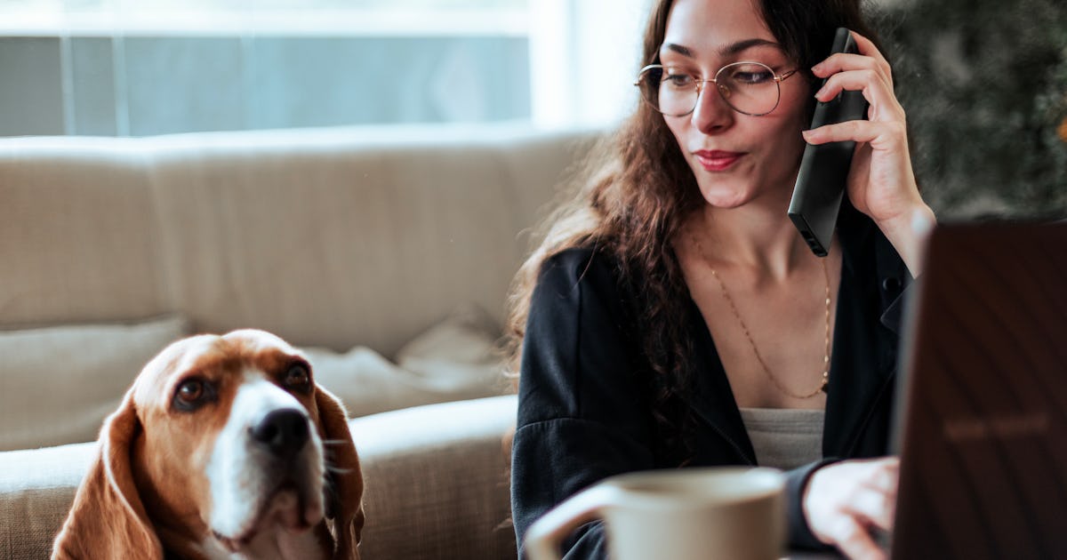 I Went To A Pet Psychic & Was Pleasantly Surprised By What I Learned