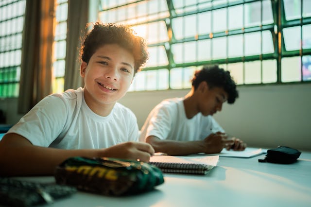 Portrait of a schoolboy studying in the classroom