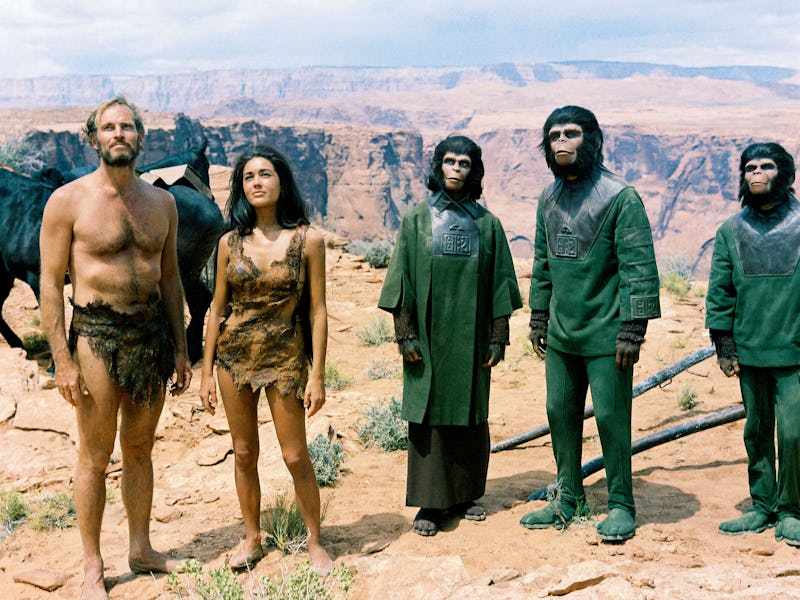 Charlton Heston (19232008), US actor, and Linda Harrison, US actress, both wearing animal hides, al...