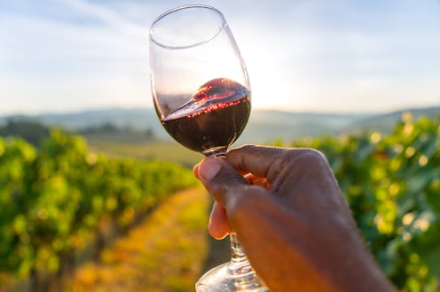 Man examining and swirling wine for tasting in a glass at sunset in a vineyard in Tuscany, Italy