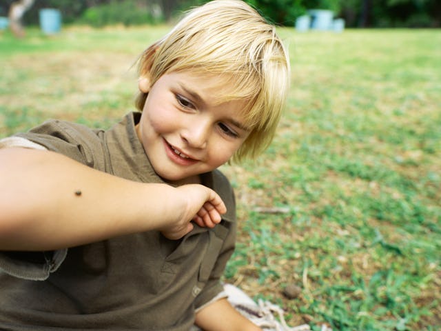 A young boy with blonde hair sits on grass, smiling as he examines a small insect on his arm, enjoyi...