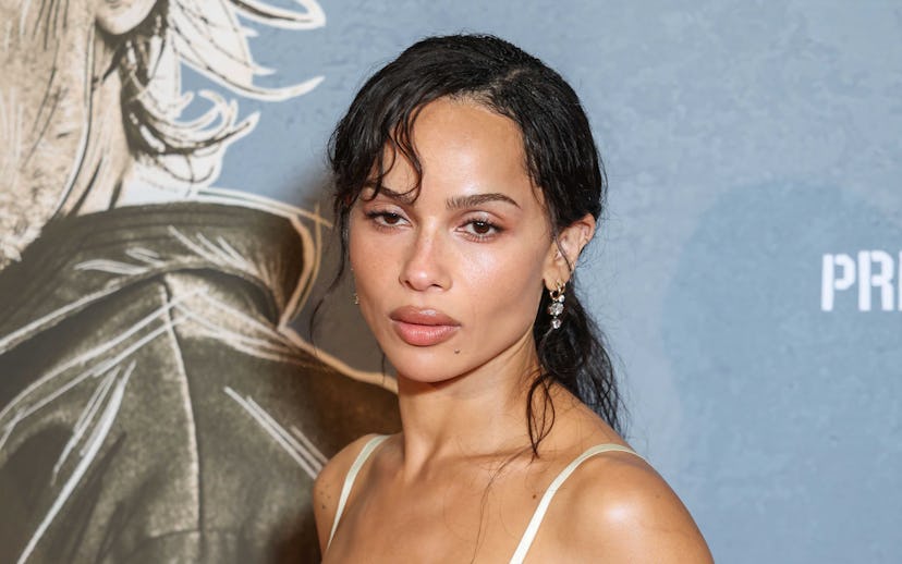 PARIS, FRANCE - AUGUST 21: Zoë Kravitz attends the "Caught Stealing" Photocall at Cinema Max Linde...