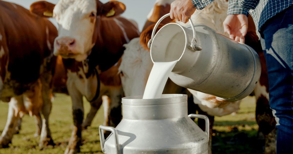 In Florida, Raw Milk Has Sickened 21 People, Here's What You Need To Know