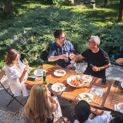 A cheerful group of friends gathered around a backyard table, enjoying a barbecue meal, lively conversation, and toasting with drinks.