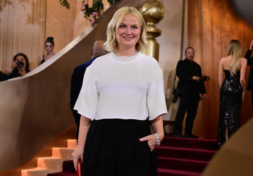 Amy Poehler attends the 83rd Annual Golden Globe Awards