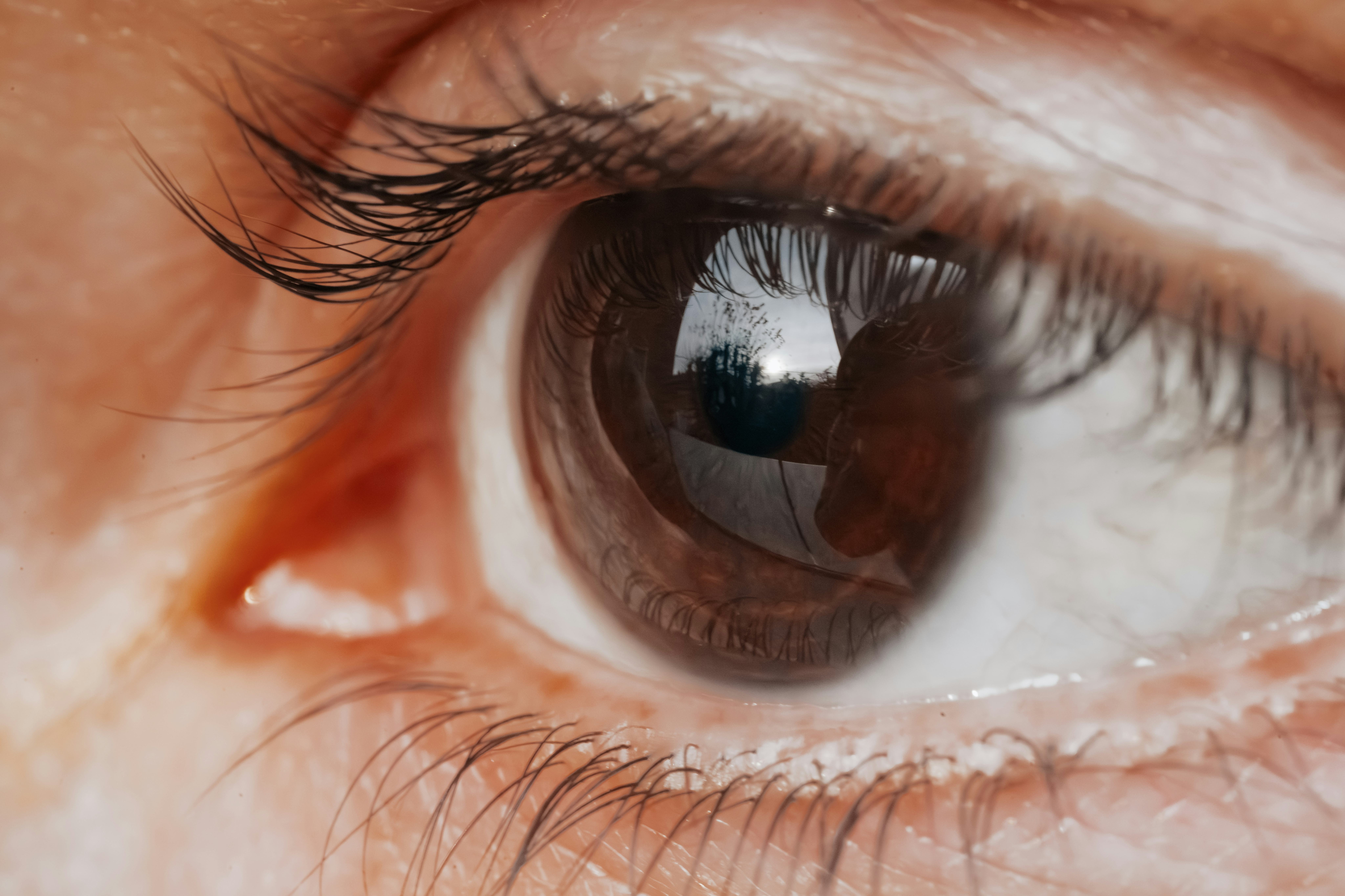 A persons brown eye with long eyelashes reflecting the outdoors.