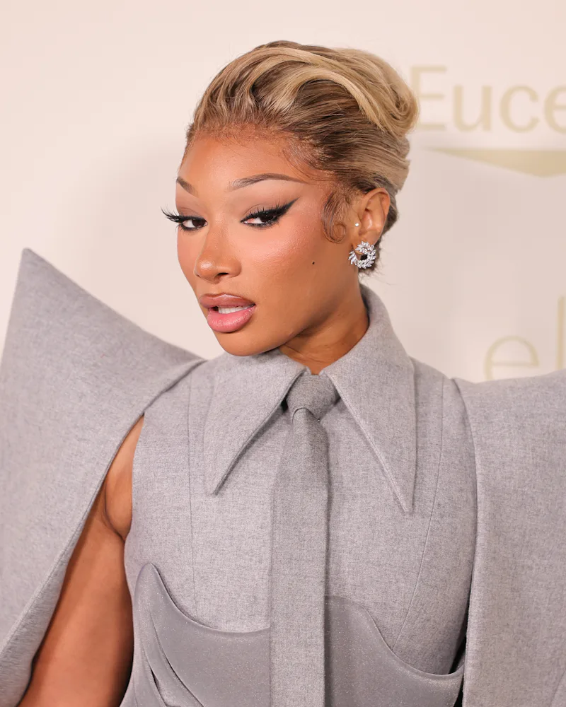 Megan Thee Stallion at the InStyle Imagemakers Awards with a French Twist hairstyle