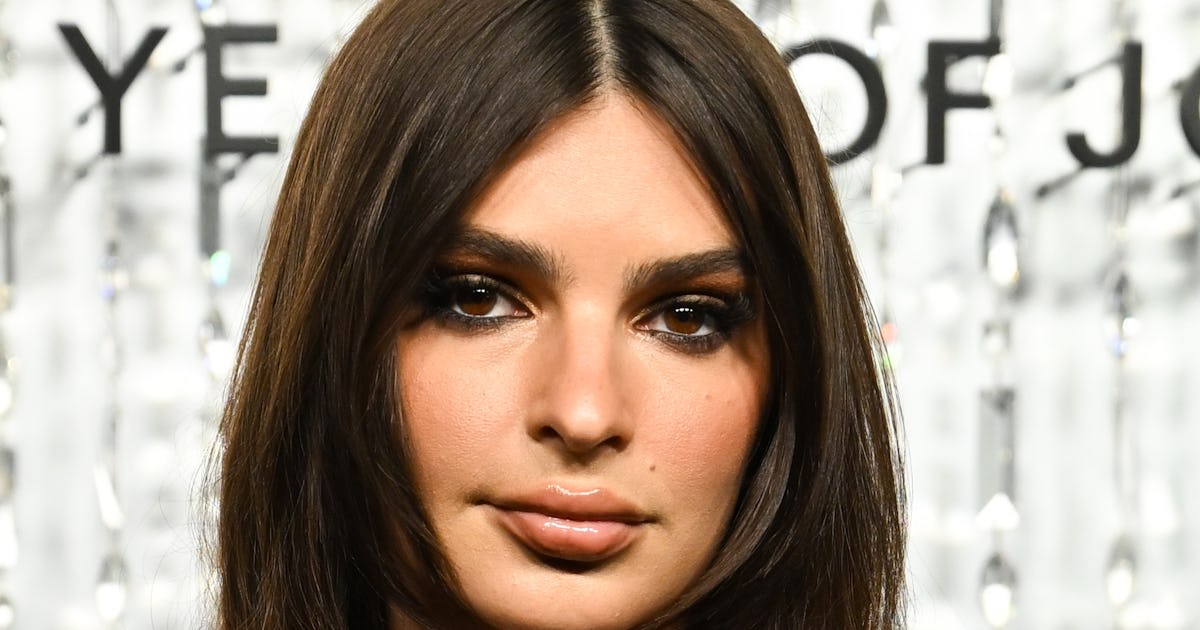 EmRata Wore A Cleavage-Baring Bra In A Jet Selfie