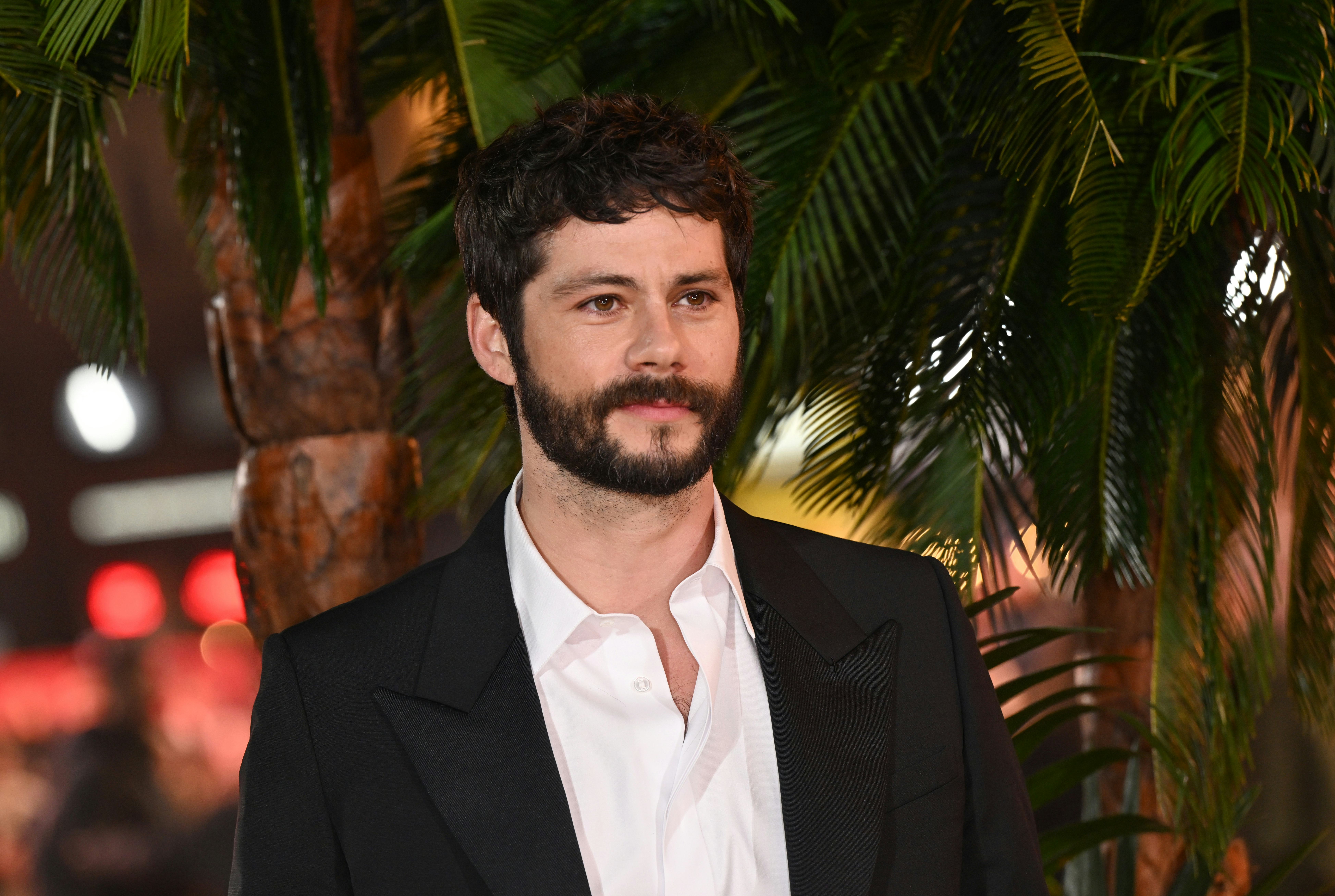 Dylan O'Brien spoke about straight actors playing gay roles after he starred in 'Twinless.'