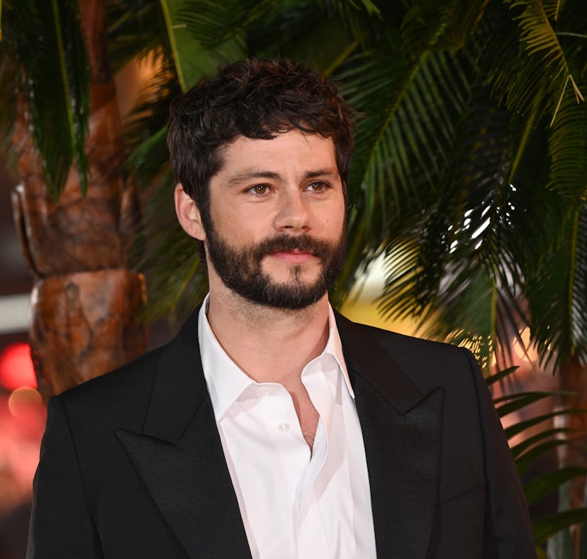 Dylan O'Brien spoke about straight actors playing gay roles after he starred in 'Twinless.'