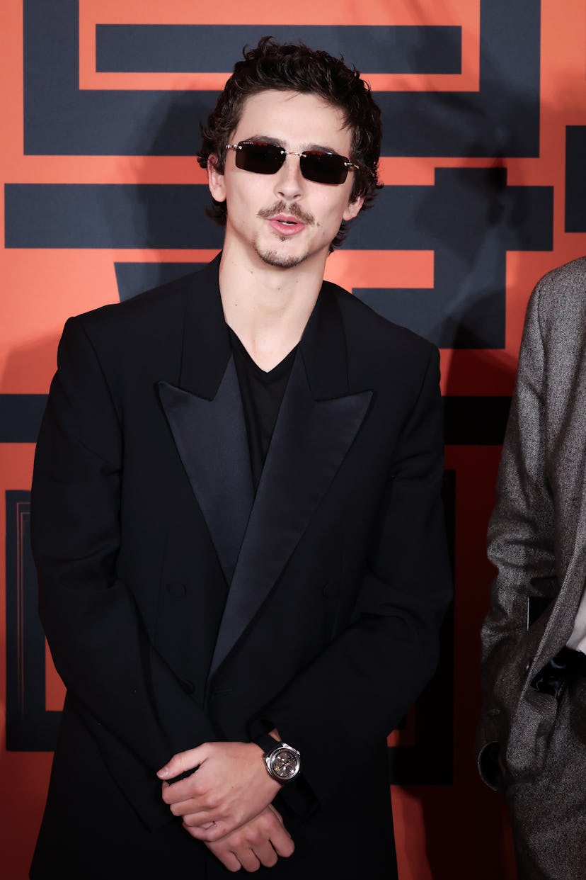 BEIJING, CHINA - MARCH 10: American and French actor Timothee Chalamet attends the premiere of film ...