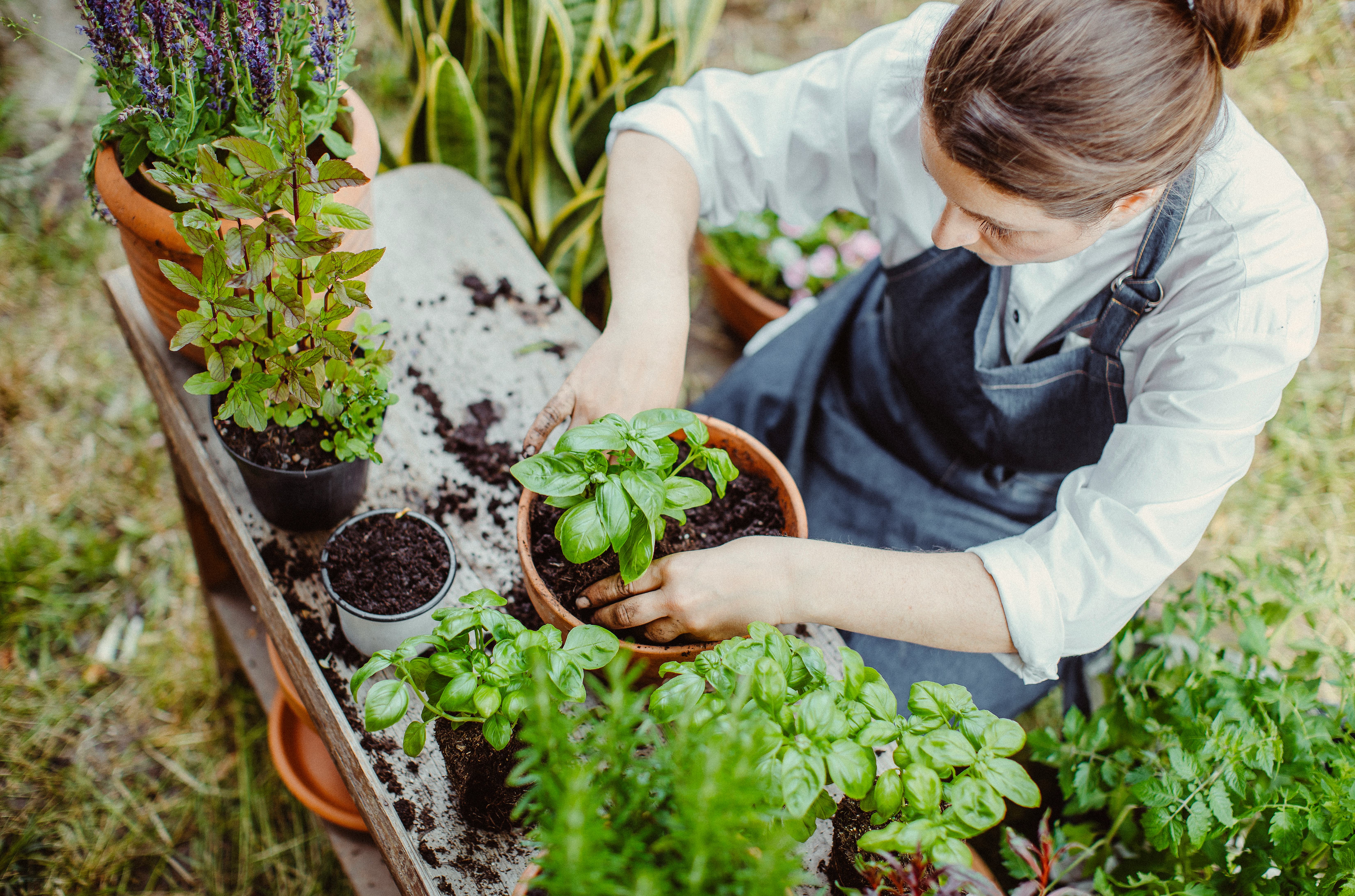 The Psychological Reason You Need To Touch Dirt