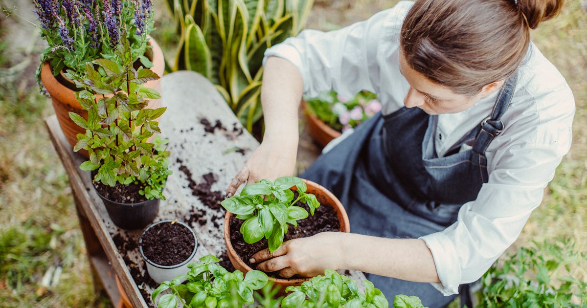 The Psychological Reason You Need To Touch Dirt