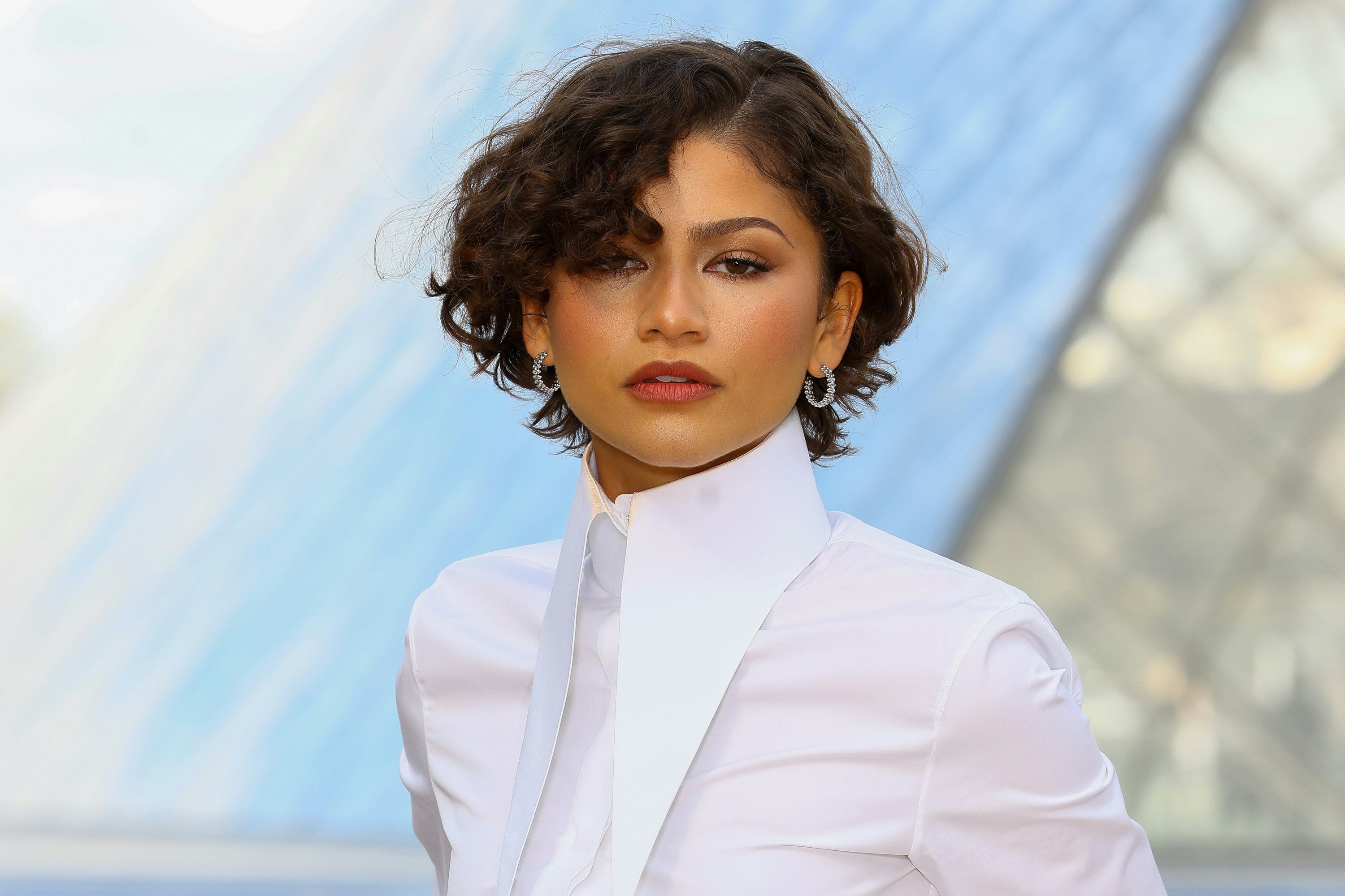 Zendaya's Stunning Rosette Dress Was A Nod To Carrie Bradshaw & Whitney Houston
