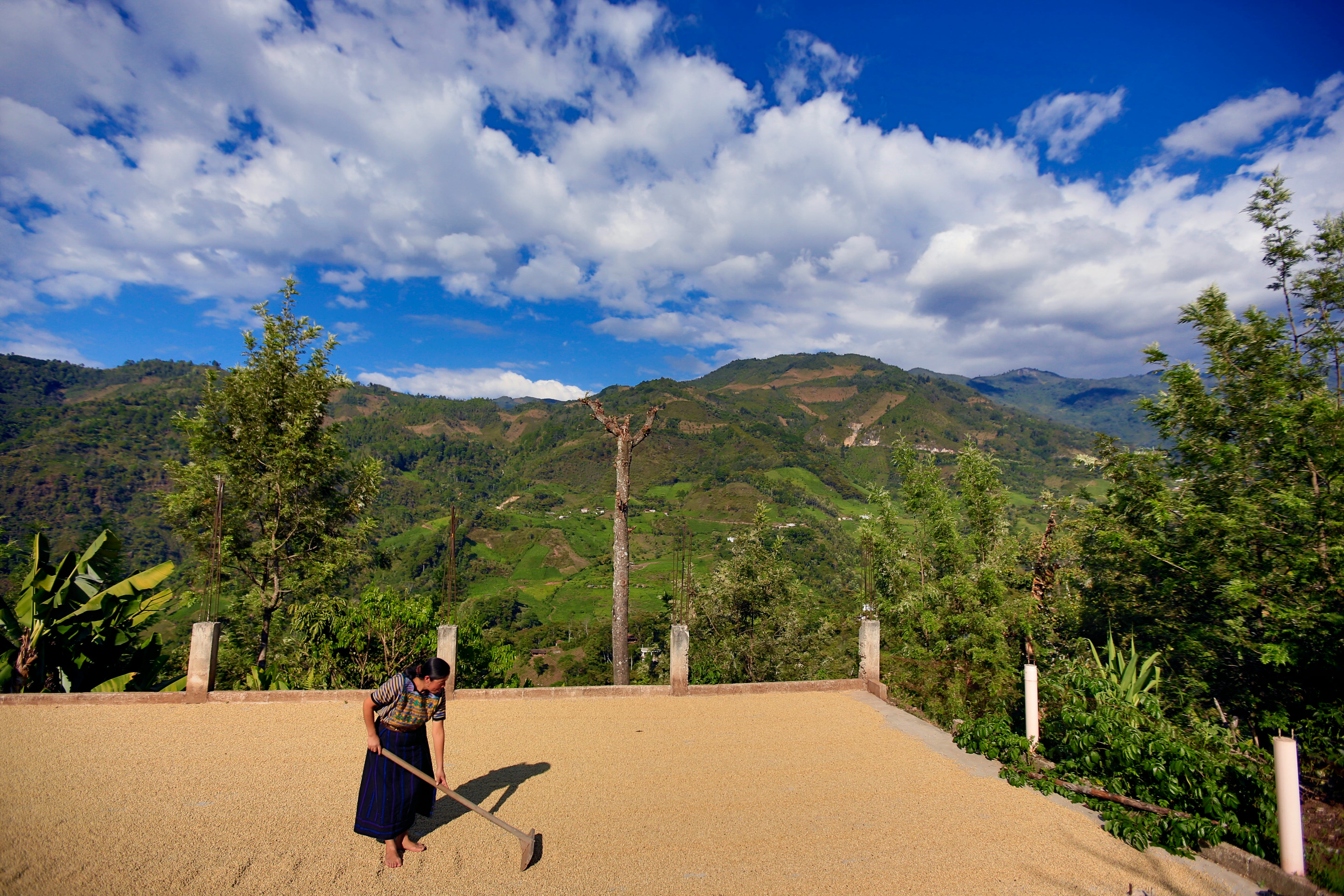 Why Your Morning Routine Is the Wellness Investment With the Highest Return