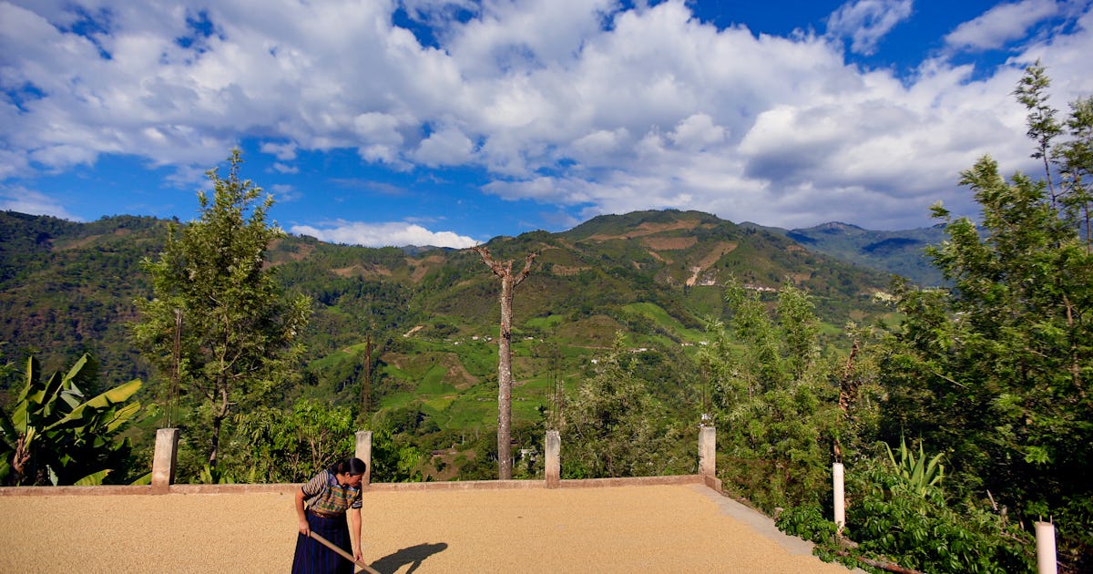 Why Your Morning Routine Is the Wellness Investment With the Highest Return