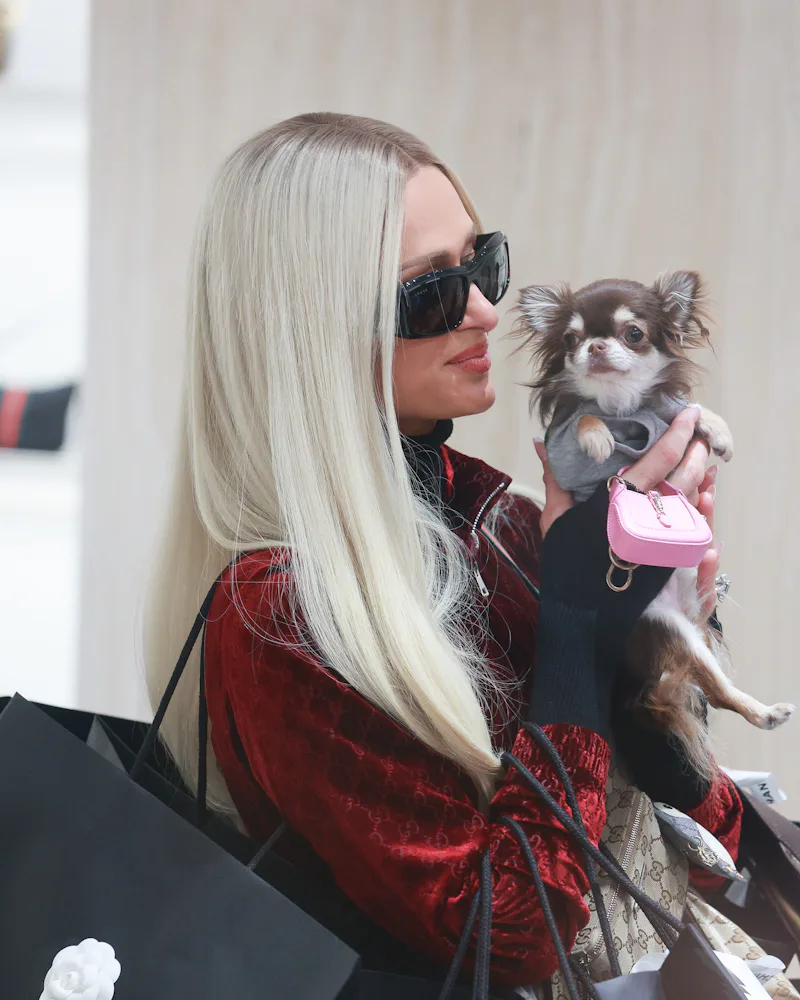Paris Hilton in Milan with silvery blonde hair