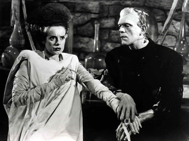 Kino. Frankensteins Braut, Bride Of Frankenstein, Frankensteins Braut, Bride Of Frankenstein, Elsa L...