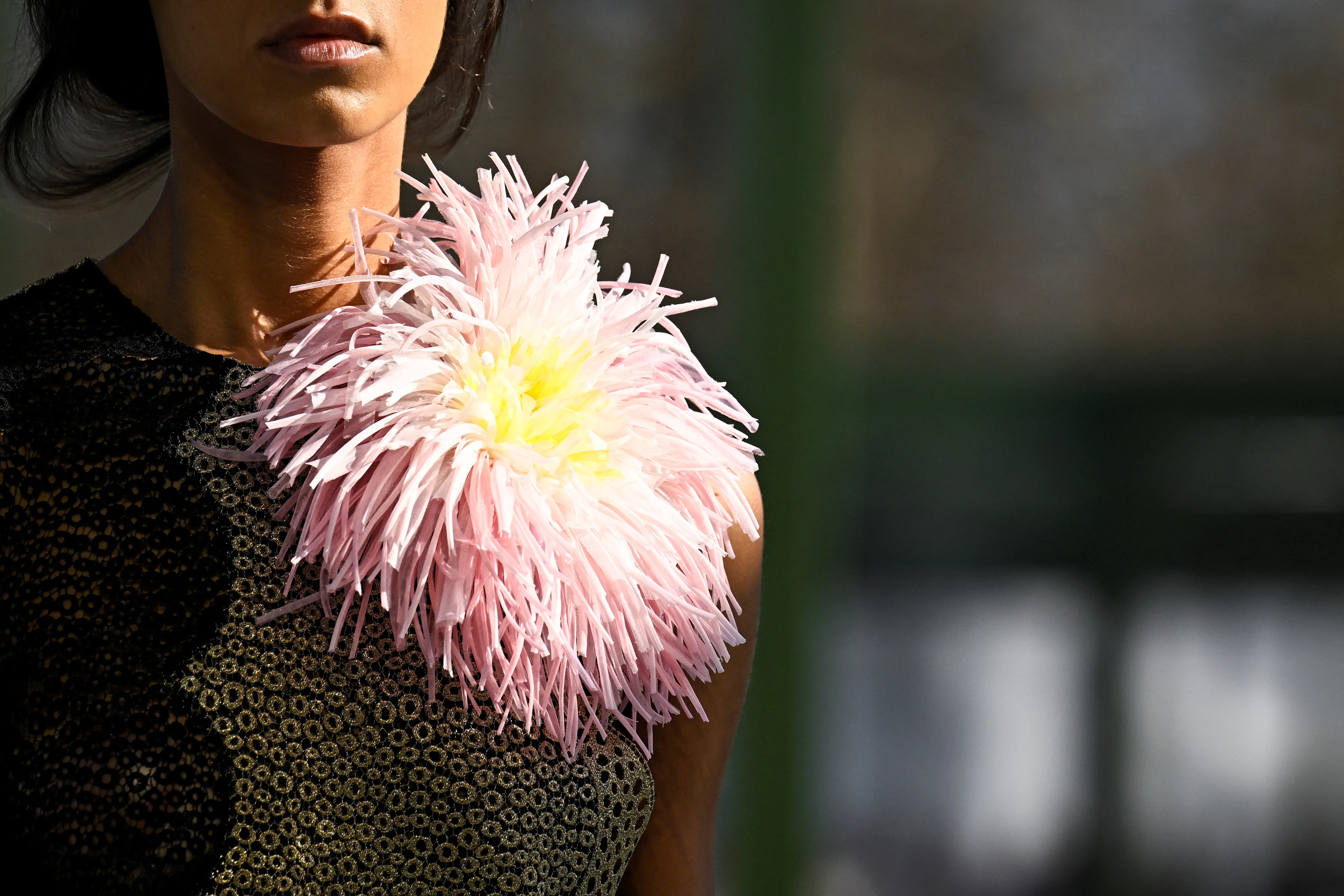 The Dior Fall/Winter 2026/27 Front Row