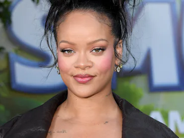 Rihanna has been carrying a 'Dracula' bag that nails the literary chic aesthetic.