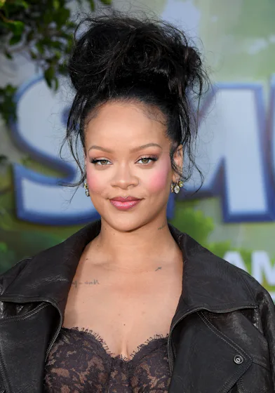 Rihanna has been carrying a 'Dracula' bag that nails the literary chic aesthetic.