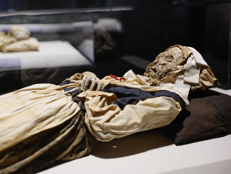 The mummy of Veronica Orlovits, a member of the Orlovits family of mummies discovered in a crypt in ...