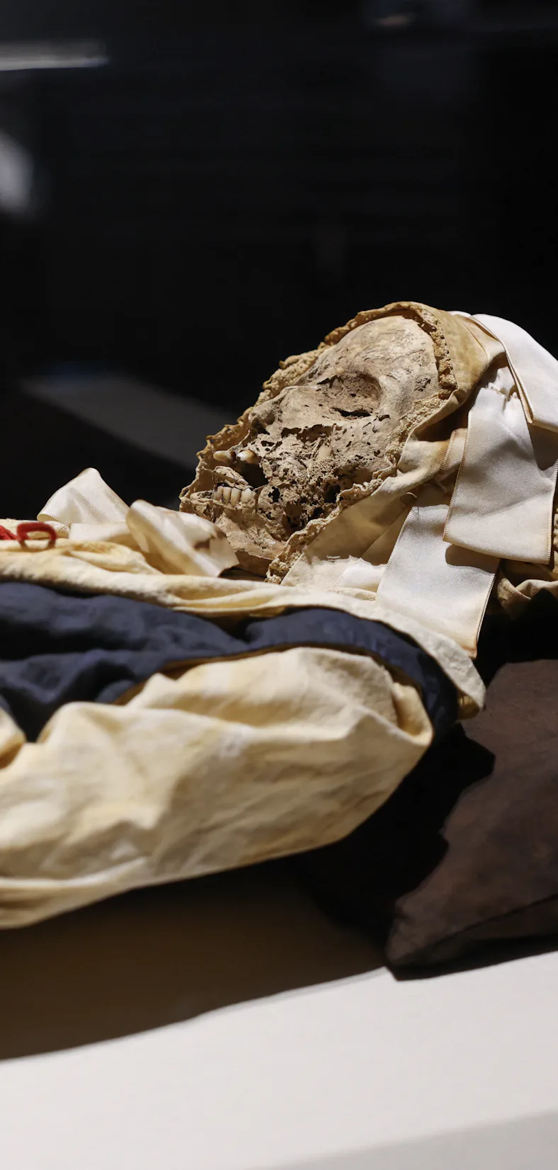 The mummy of Veronica Orlovits, a member of the Orlovits family of mummies discovered in a crypt in ...
