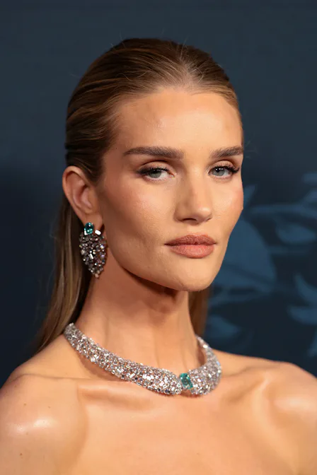 Celebrities Toasted To Tiffany & Co.'s 2026 High Jewelry Line Rosie Huntington-Whiteley