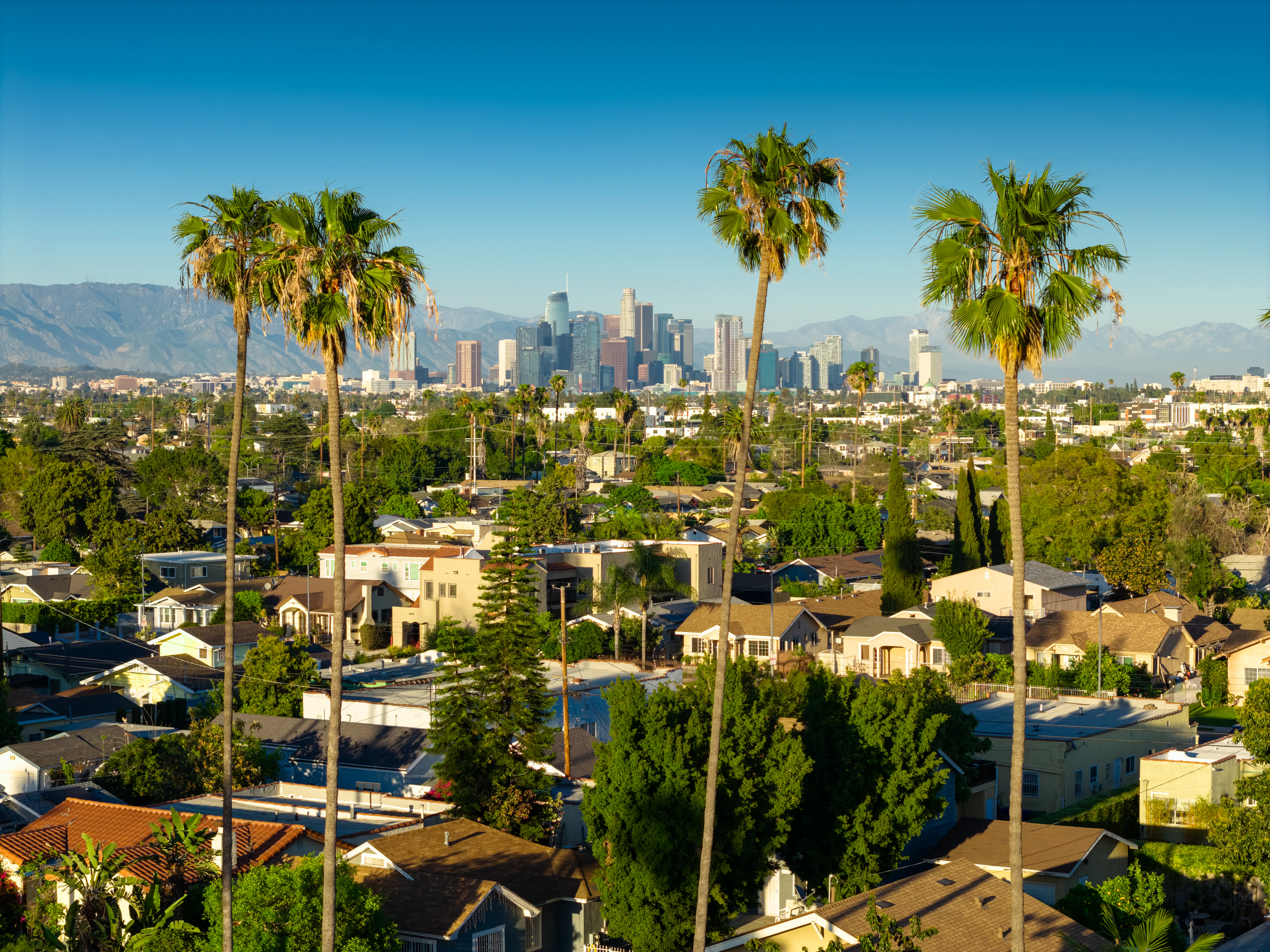Aerial photograph of the Jefferson Park neighborhood in Los Angeles, California, featuring a diverse...