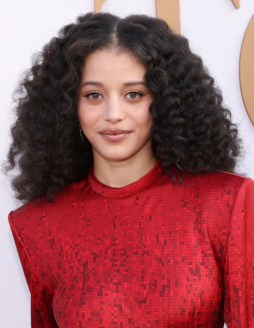 Chase Infiniti Twist-Out Hairstyle