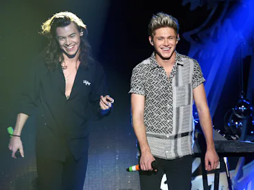 LOS ANGELES, CA - DECEMBER 04: Recording artists Harry Styles (L) and Niall Horan of One Direction ...