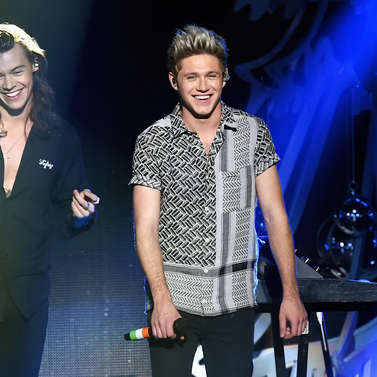 LOS ANGELES, CA - DECEMBER 04: Recording artists Harry Styles (L) and Niall Horan of One Direction ...