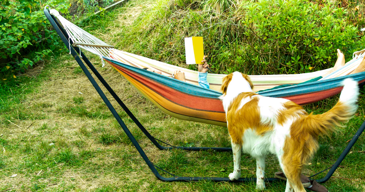 7 Dog-Themed Books To Add To Your Summer Reading List