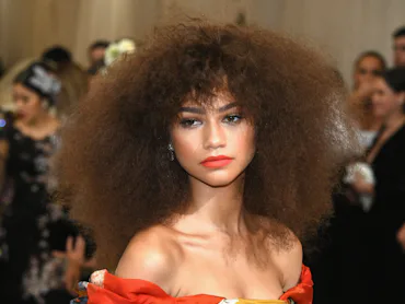 Zendaya Met Gala