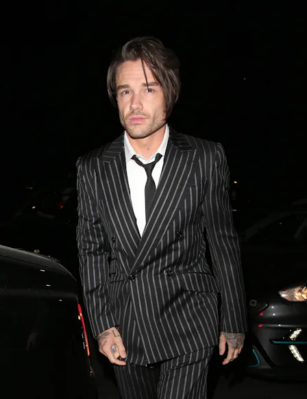 Liam Payne’s $29 million estate is going to his son, Bear.