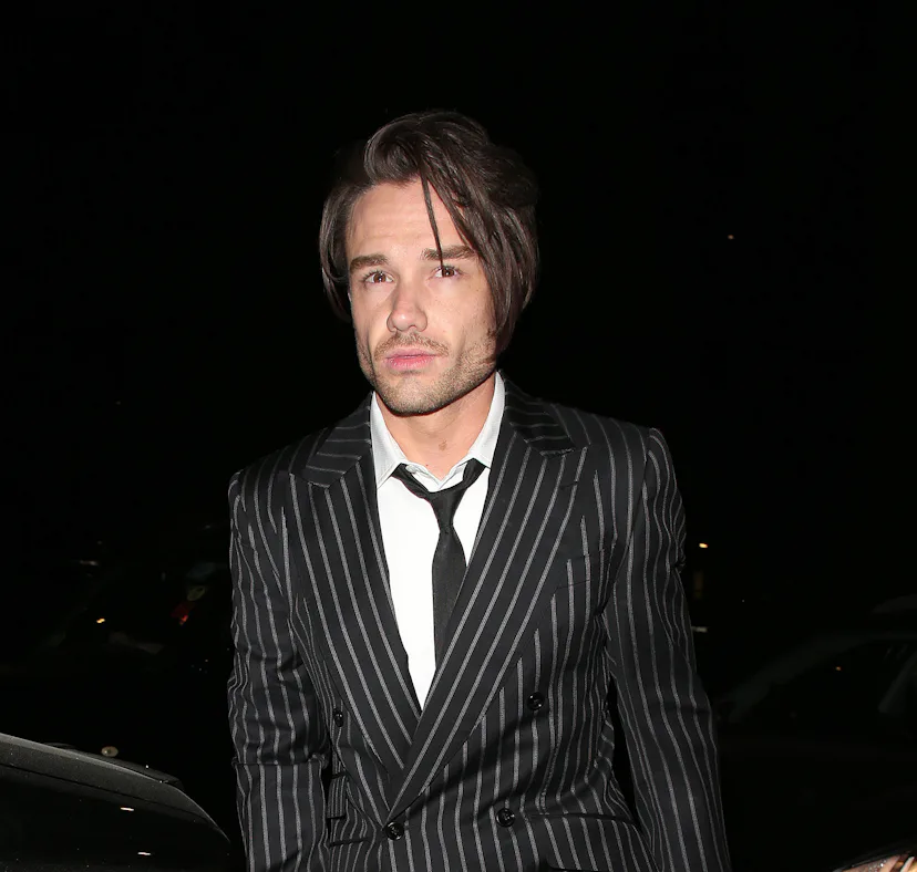 Liam Payne’s $29 million estate is going to his son, Bear.
