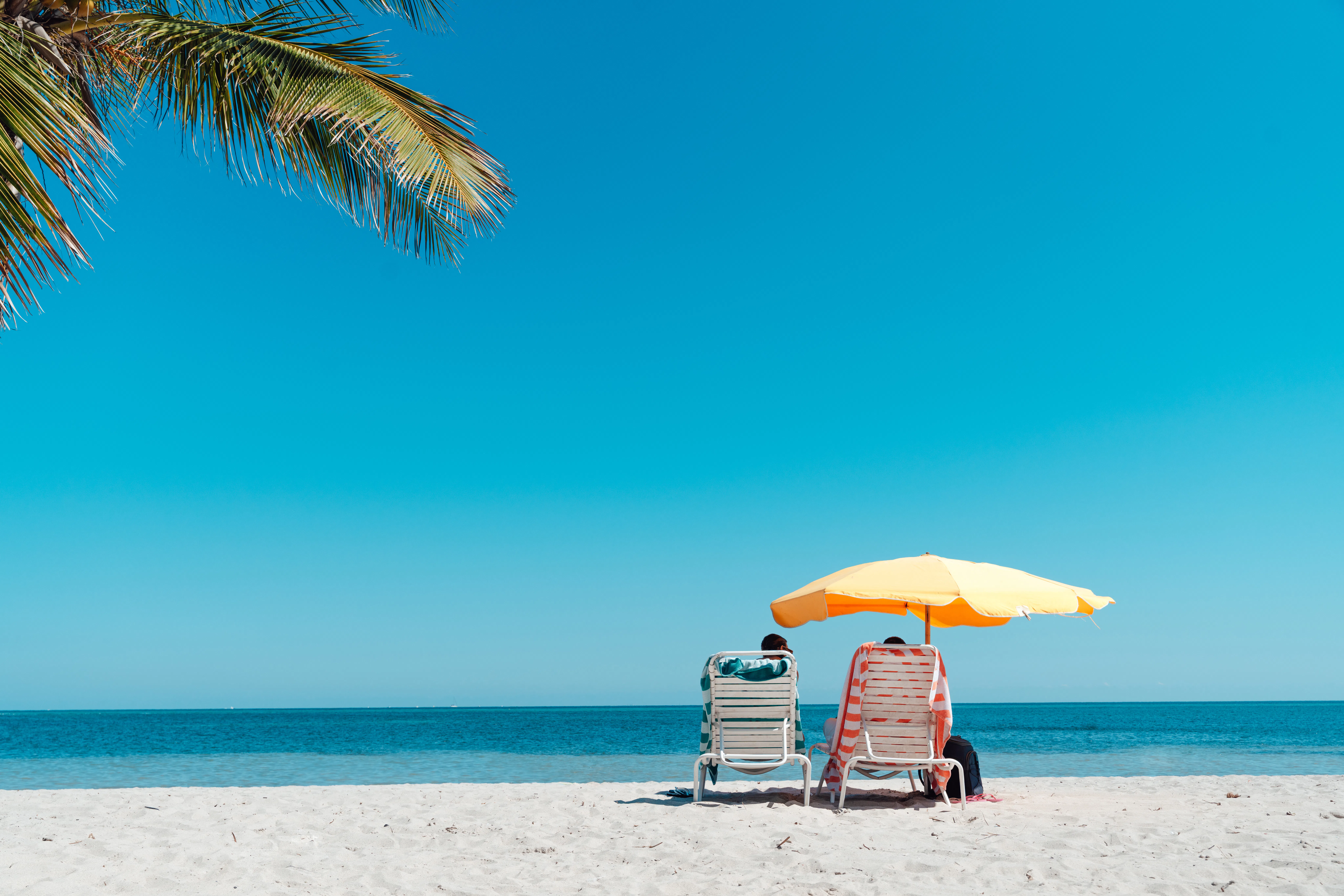 Your guide to the perks of a Walmart+ membership.