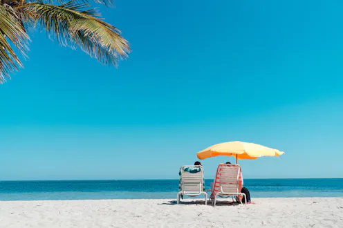 Your guide to the perks of a Walmart+ membership.