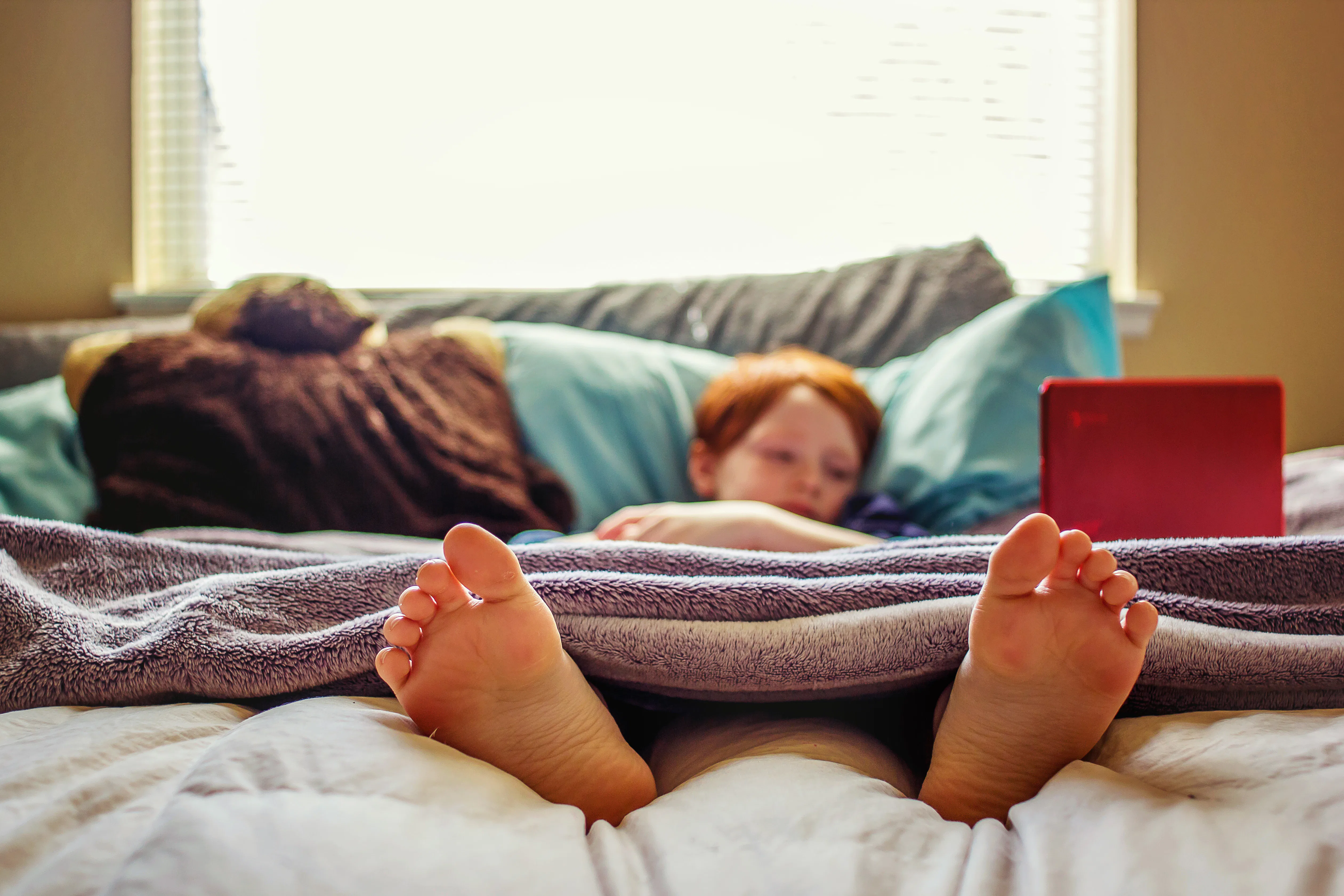 7 year old boy watching videos on his laptop while lying in bed -- image taken indoors using natural...